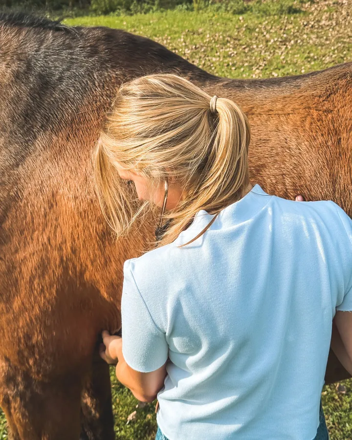 Dierenarts Fien ausculteert een paard