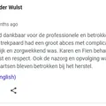 Schermafbeelding van de 5-sterrenreview van Ferre Van der Wulst op Google