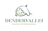 DAP Dendervallei — Paardenpraktijk